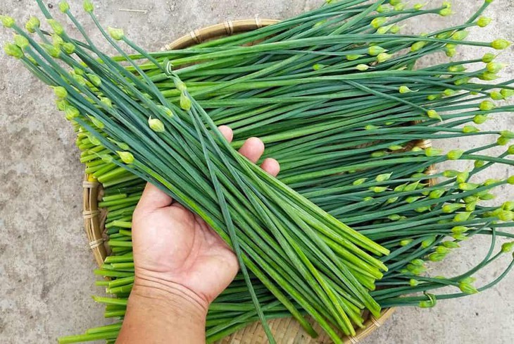 4 cách dùng rau hẹ chữa bệnh- Ảnh 1.