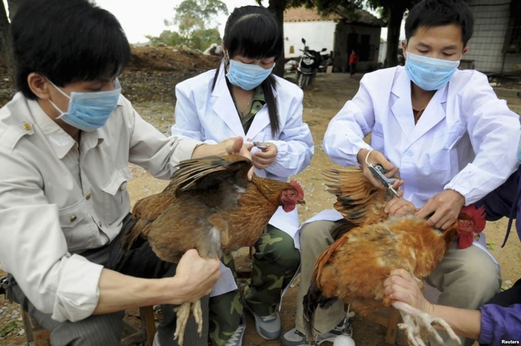Bộ Nông nghiệp và Môi trường yêu cầu tiêm vaccine cho vật nuôi để kiểm soát nguy cơ dịch bệnh- Ảnh 1. Bộ Nông nghiệp và Môi trường yêu cầu tiêm vaccine cho vật nuôi để kiểm soát nguy cơ dịch bệnh- Ảnh 1.