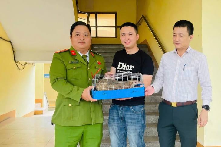 Phát hiện động vật quý hiếm 'đi lạc', người đàn ông giao nộp công an- Ảnh 1.