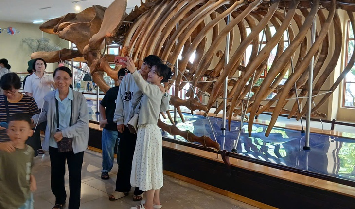 Nườm nượp người đi xem bộ xương động vật quý hiếm khổng lồ ở Khánh Hòa- Ảnh 9. Nườm nượp người đi xem bộ xương động vật quý hiếm khổng lồ ở Khánh Hòa- Ảnh 9.