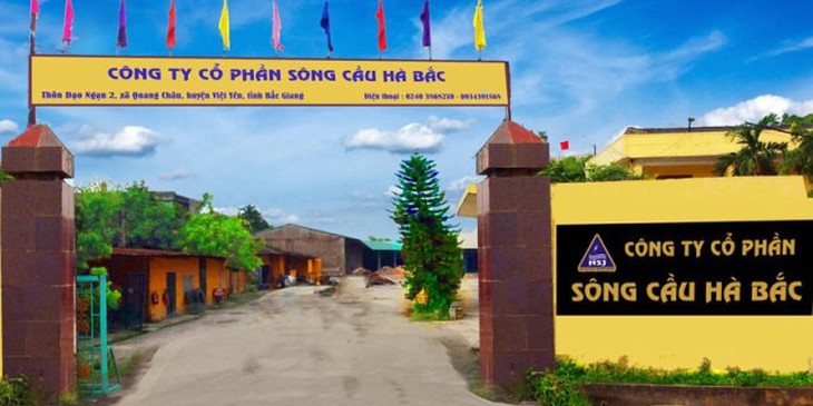 Công ty Cổ phần Sông Cầu Hà Bắc bán điện không phép- Ảnh 1.