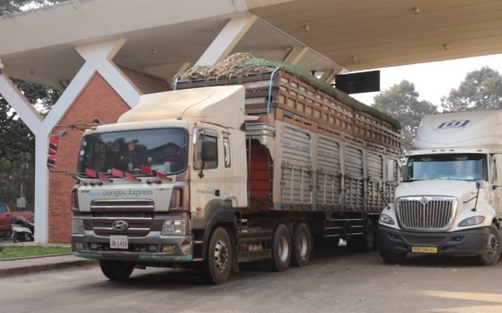 Thủ tướng chỉ đạo tháo gỡ ách tắc triển khai Nghị định 46/2026/NĐ-CP về an toàn thực phẩm