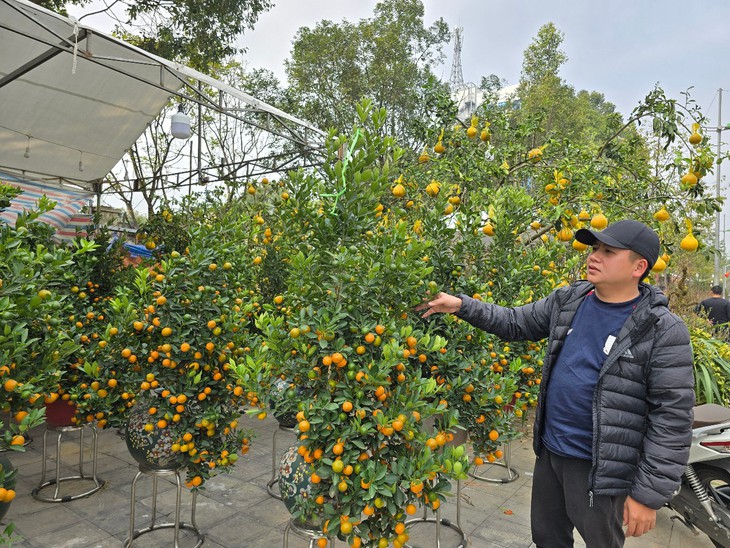 Hoa, cây cảnh tràn ngập trên các tuyến phố ở Thanh Hóa- Ảnh 2.