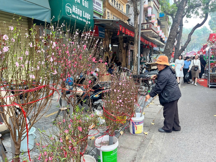 Tiểu thương buôn đào quất tất bật những ngày giáp Tết- Ảnh 2.