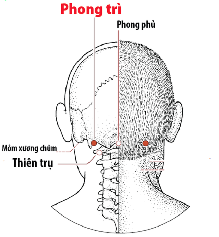 Xoa bóp bấm huyệt giúp giảm đau cơ do lạnh- Ảnh 1.