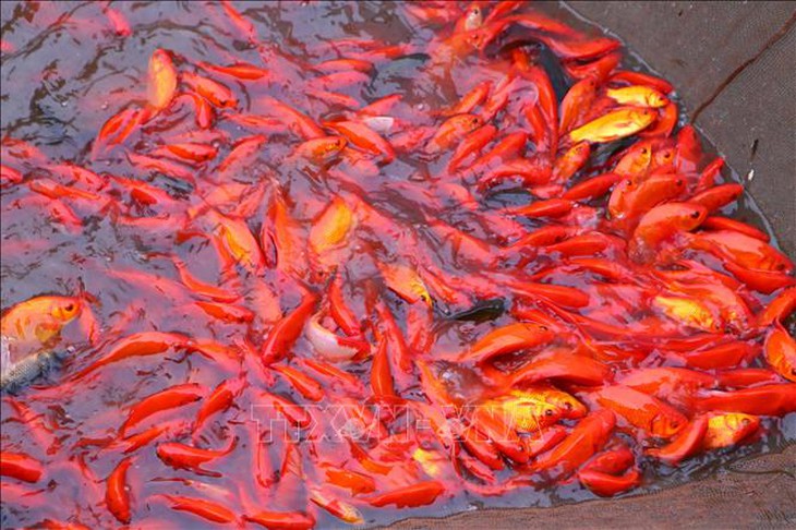 Phố bánh kẹo vào vụ Tết- Ảnh 7.