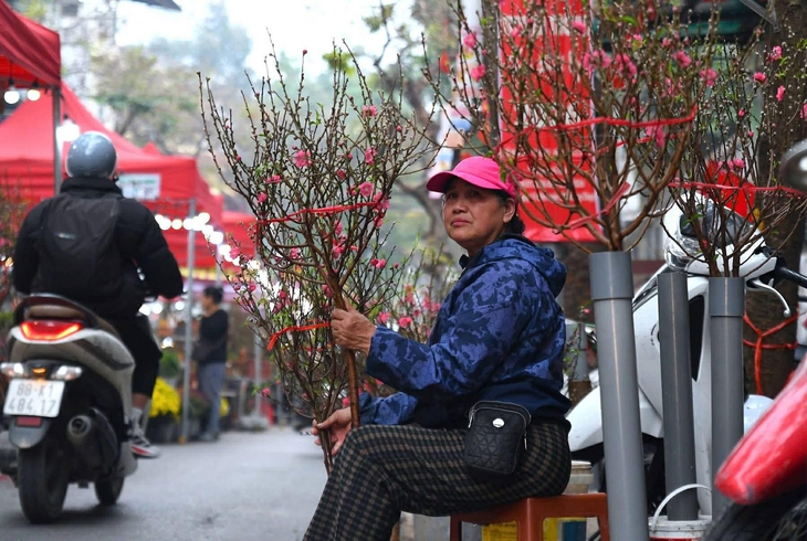 Tiểu thương buôn đào quất tất bật những ngày giáp Tết- Ảnh 3.