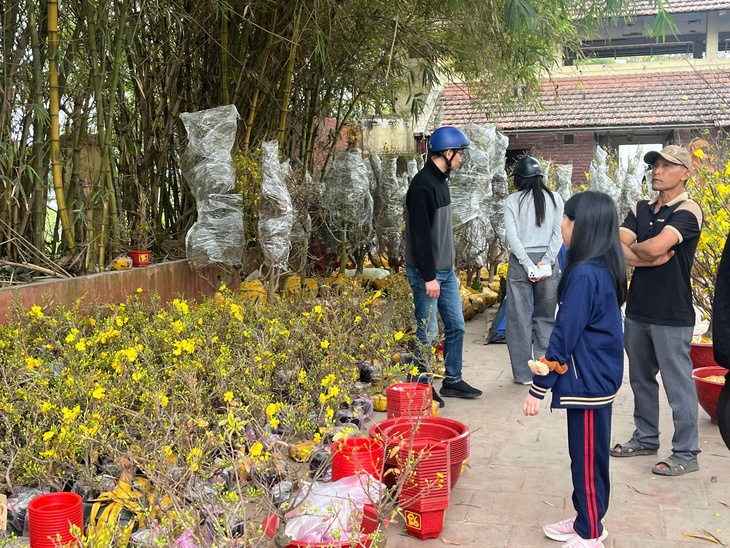 Đào quất xuống phố sớm, chợ Tết vẫn chưa đông- Ảnh 6.