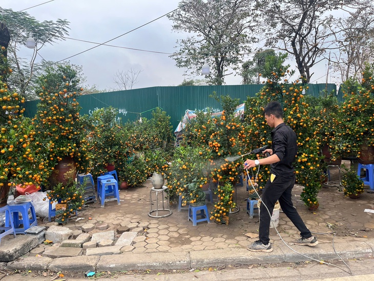Đào quất xuống phố sớm, chợ Tết vẫn chưa đông- Ảnh 3.