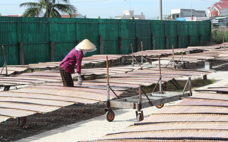 Lâm Đồng rộn ràng tàu cập bến, ngư dân đón xuân từ những khoang cá- Ảnh 5.