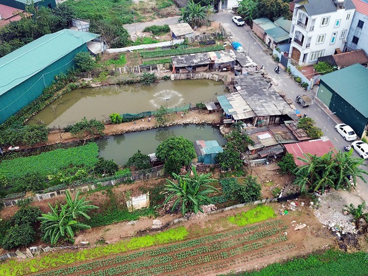 Hà Nội: Người dân xã Phù Đổng khổ vì mùi hôi từ chuồng lợn sát khu dân cư- Ảnh 1. Hà Nội: Người dân xã Phù Đổng khổ vì mùi hôi từ chuồng lợn sát khu dân cư- Ảnh 1.