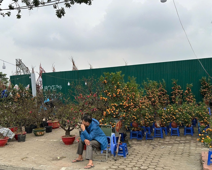 Tiểu thương buôn đào quất tất bật những ngày giáp Tết- Ảnh 7.