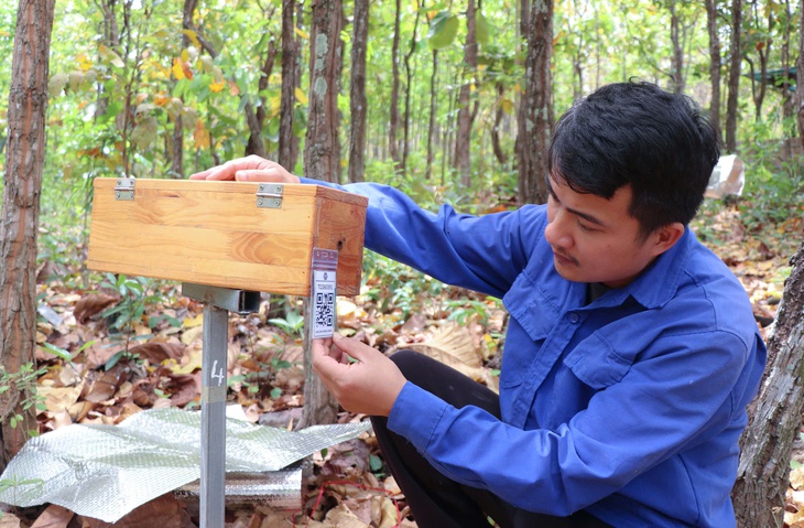 Khám phá 'làng ong Dú' giữa đồi núi sỏi đá Khánh Hòa- Ảnh 3.