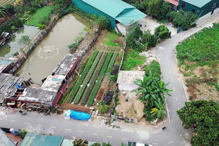 Hà Nội: Người dân xã Phù Đổng khổ vì mùi hôi từ chuồng lợn sát khu dân cư- Ảnh 9. Hà Nội: Người dân xã Phù Đổng khổ vì mùi hôi từ chuồng lợn sát khu dân cư- Ảnh 9.