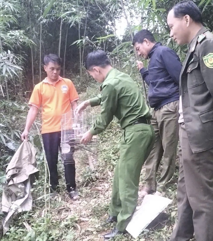 Nuôi chim cu rốc đầu xám quý hiếm, người dân đến Công an xã giao nộp- Ảnh 1.
