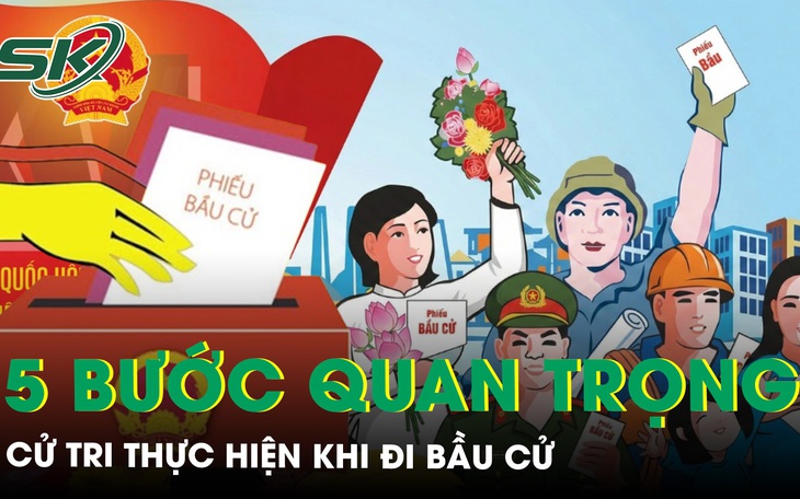 Hướng dẫn chi tiết 5 bước cử tri thực hiện khi đi bầu cử và những điều cần lưu ý