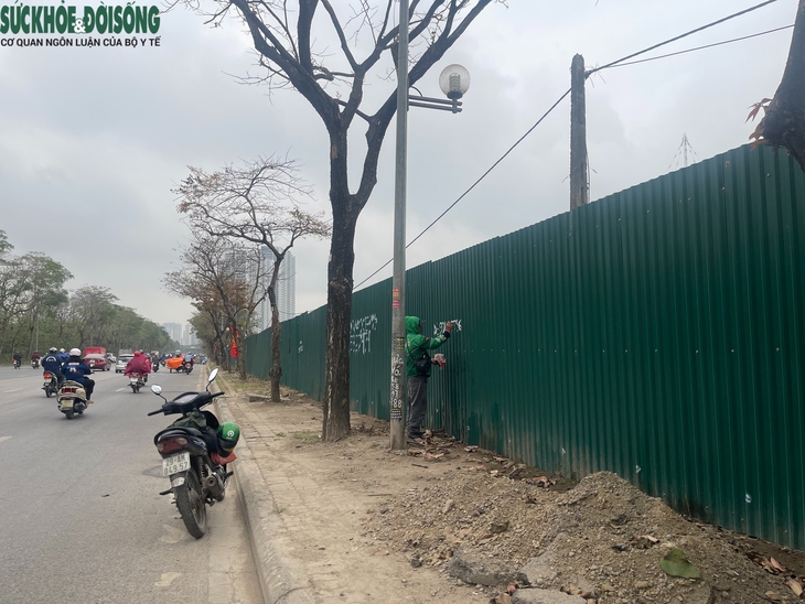 Hiện trạng khu đất 4,3 ha vi phạm ở phường Đại Mỗ, Hà Nội- Ảnh 7.