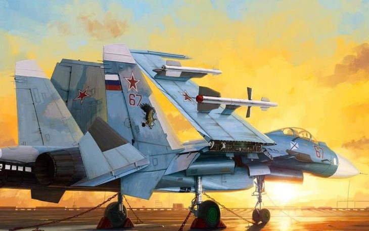 Nga mất tiêm kích Su-33 hiếm trong đòn tập kích của Ukraine - Ảnh 2.