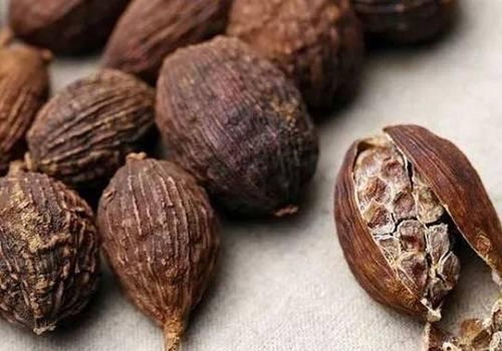4 vị thuốc giúp giảm trào ngược dạ dày – thực quản- Ảnh 3.