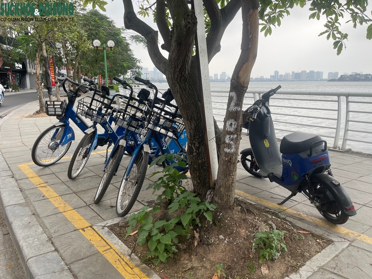 Xe đạp điện công cộng ở Hà Nội chưa thu hút được người dân sử dụng- Ảnh 7.
