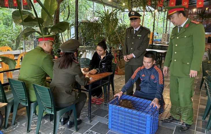 Đưa hàng loạt động vật quý hiếm trở lại rừng xanh- Ảnh 3.