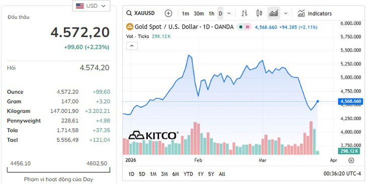 Giá vàng, bạc thế giới 25/3 bật tăng cực mạnh, vàng áp sát 4.600 USD- Ảnh 1.