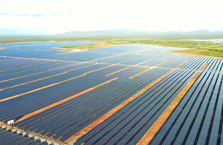 4 công ty 'họ' EA Súp vi phạm lĩnh vực chứng khoán- Ảnh 1.