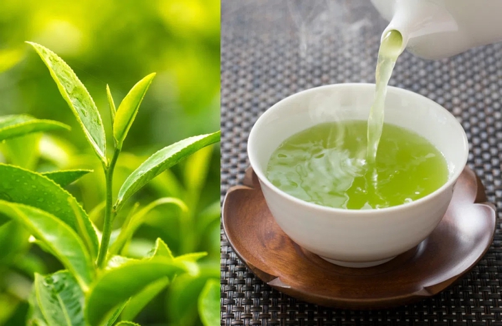 7 trà thảo dược giảm cân, thanh lọc cơ thể bạn đã biết chưa?- Ảnh 1.