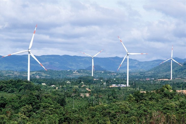 Công ty Cổ phần Tân Hoàn Cầu Bến Tre.jpg