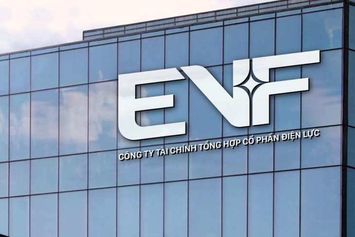 EVF hoàn tất thương vụ bán 450 tỷ đồng trái phiếu- Ảnh 1.