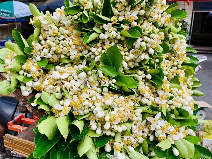 Hoa bưởi xuống phố ngày Rằm tháng Giêng- Ảnh 4.