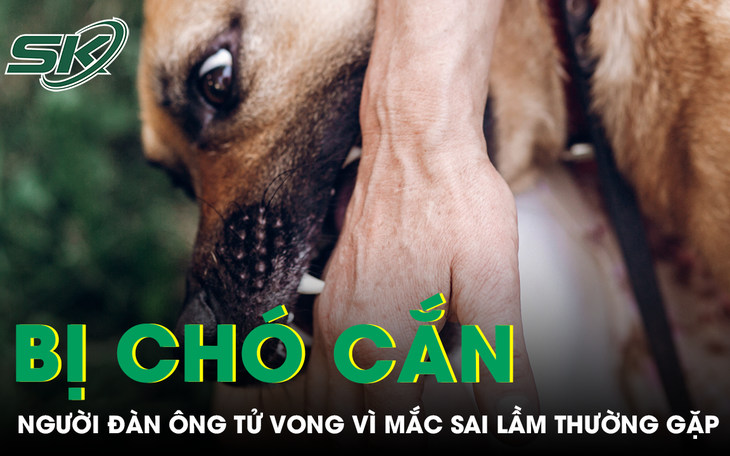 Đừng chủ quan khi chó nhà cắn- Ảnh 3.