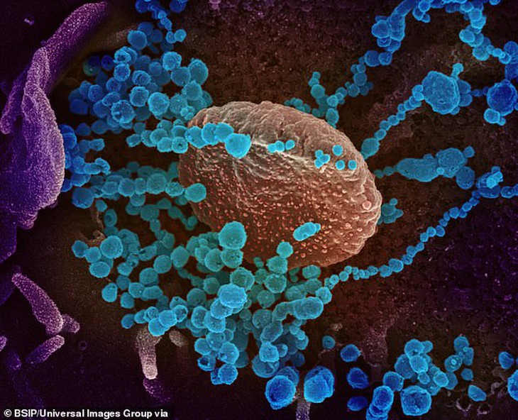Campuchia giám sát biến thể mới của virus SARS-CoV-2- Ảnh 1. Campuchia giám sát biến thể mới của virus SARS-CoV-2- Ảnh 1.