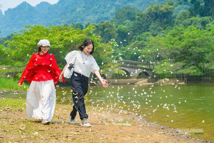 Mùa bướm ở Cúc Phương đến sớm, hút khách tham quan- Ảnh 1. Mùa bướm ở Cúc Phương đến sớm, hút khách tham quan- Ảnh 1.