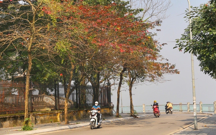 Bắc Bộ nắng ban ngày, đề phòng dông lốc cục bộ- Ảnh 2.