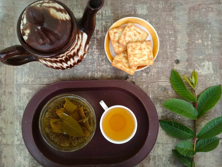 Uống trà lá ổi hàng ngày có tốt không?- Ảnh 1.