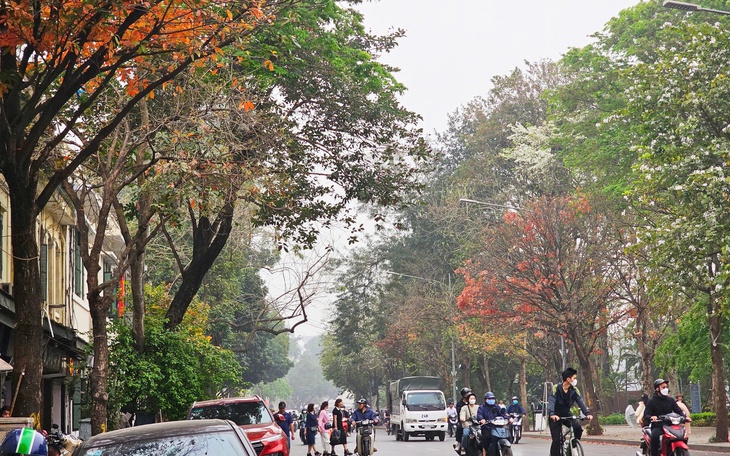 Miền Bắc sương mù vào sáng sớm, nắng mạnh vào trưa chiều