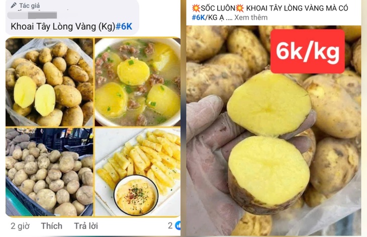 Chuyên gia chỉ cách bảo quản khoai tây, cà chua để lâu không hỏng- Ảnh 1. Chuyên gia chỉ cách bảo quản khoai tây, cà chua để lâu không hỏng- Ảnh 1.
