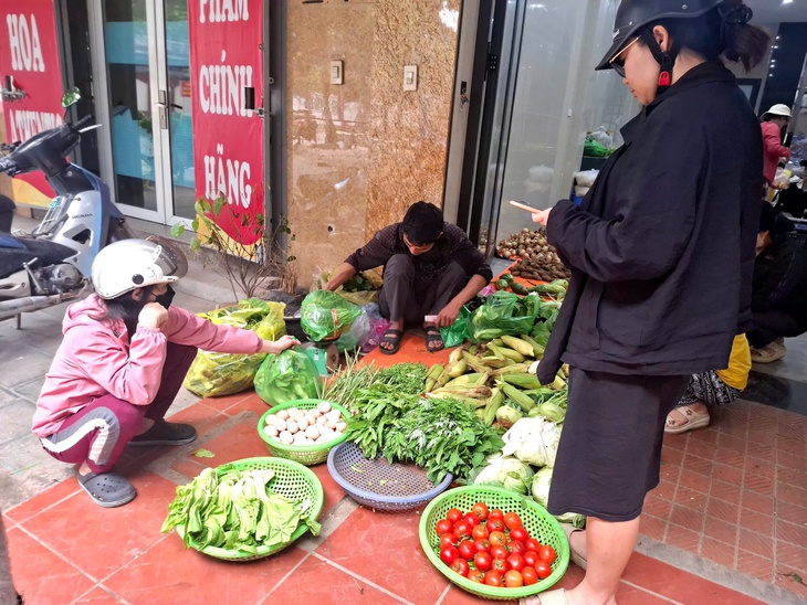 Chuyên gia chỉ cách bảo quản khoai tây, cà chua để lâu không hỏng- Ảnh 3. Chuyên gia chỉ cách bảo quản khoai tây, cà chua để lâu không hỏng- Ảnh 3.
