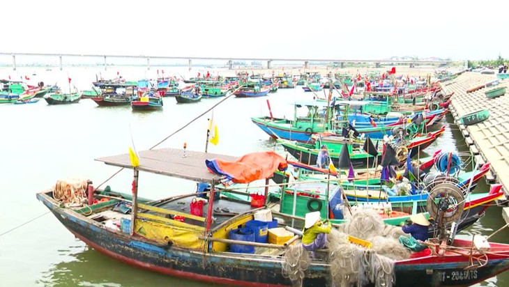 Rút ngắn chuyến biển, ngư dân Hà Tĩnh háo hức chờ ngày bỏ phiếu- Ảnh 3.