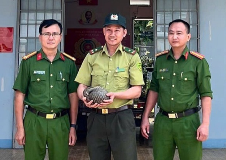 Đồng Nai: Người dân tự giác giao nộp cá thể tê tê quý hiếm đi lạc vào vườn- Ảnh 2. Đồng Nai: Người dân tự giác giao nộp cá thể tê tê quý hiếm đi lạc vào vườn- Ảnh 2.