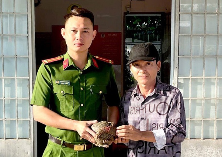 Đồng Nai: Người dân tự giác giao nộp cá thể tê tê quý hiếm đi lạc vào vườn- Ảnh 1. Đồng Nai: Người dân tự giác giao nộp cá thể tê tê quý hiếm đi lạc vào vườn- Ảnh 1.