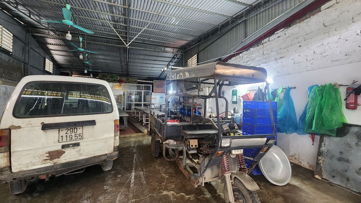 Vụ thịt lợn bệnh 'tuồn' vào trường học: Công ty Cường Phát bán thịt ra những đâu?- Ảnh 2. Vụ thịt lợn bệnh 'tuồn' vào trường học: Công ty Cường Phát bán thịt ra những đâu?- Ảnh 2.