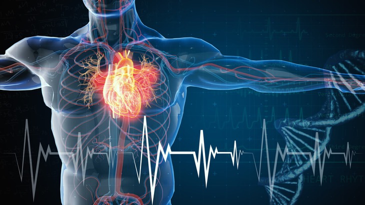 Bệnh nhân sau nhồi máu cơ tim có thể ngưng thuốc chẹn beta sau 1 năm- Ảnh 1.