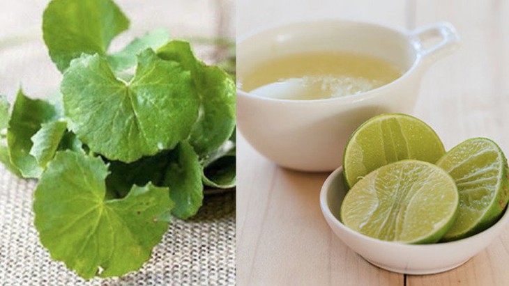 Mẹo chữa nám da từ rau má- Ảnh 1.
