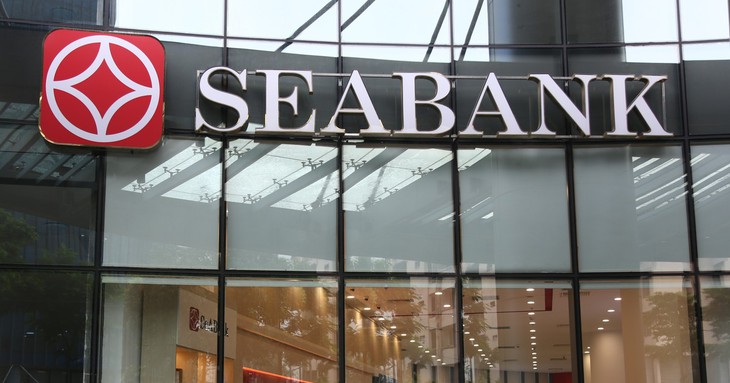 Bà Vũ Thị Ngọc Quỳnh thành viên Ban kiểm soát SeABank từ nhiệm- Ảnh 1.