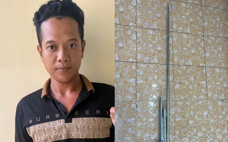 Mua súng qua mạng để săn chim, 2 đối tượng bị đề nghị truy tố- Ảnh 2.