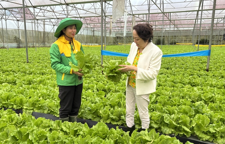 TPHCM định hướng trở thành trung tâm nghiên cứu, thử nghiệm và chuyển giao công nghệ nông nghiệp- Ảnh 2. TPHCM định hướng trở thành trung tâm nghiên cứu, thử nghiệm và chuyển giao công nghệ nông nghiệp- Ảnh 2.