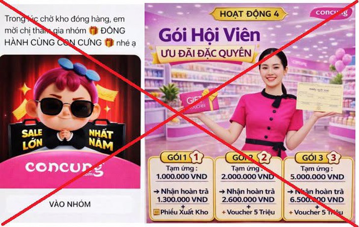Người phụ nữ mất gần 1 tỷ đồng vì tham gia nhóm 'Đồng hành cùng Con Cưng' giả mạo- Ảnh 1.