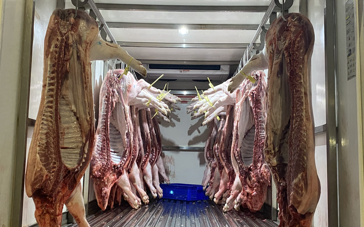 Hơn 100 học sinh tại TPHCM có triệu chứng đau bụng, nôn ói, nghi ngộ độc thực phẩm- Ảnh 2.